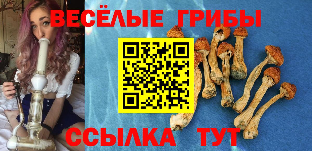 Новодвинск  Псилоцибиновые грибы GOLDEN TEACHER  Вход с VPN 