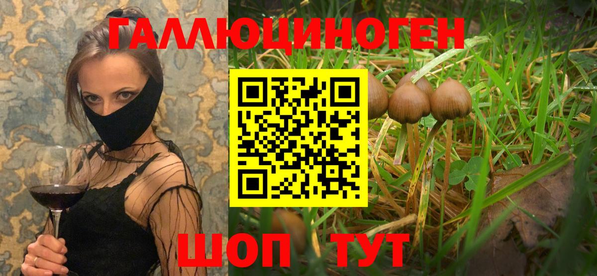 Галлюциногенные грибы мухоморы Новодвинск